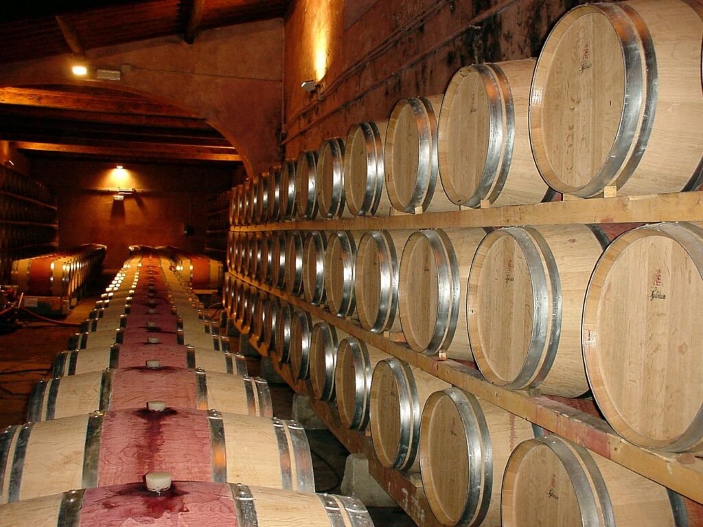 découvrez notre cave à vin, un espace dédié à la préservation et à la dégustation de vos vins préférés. profitez d'un assortiment soigneusement sélectionné, d'un design élégant et de conseils d'experts pour optimiser votre expérience vinicole.