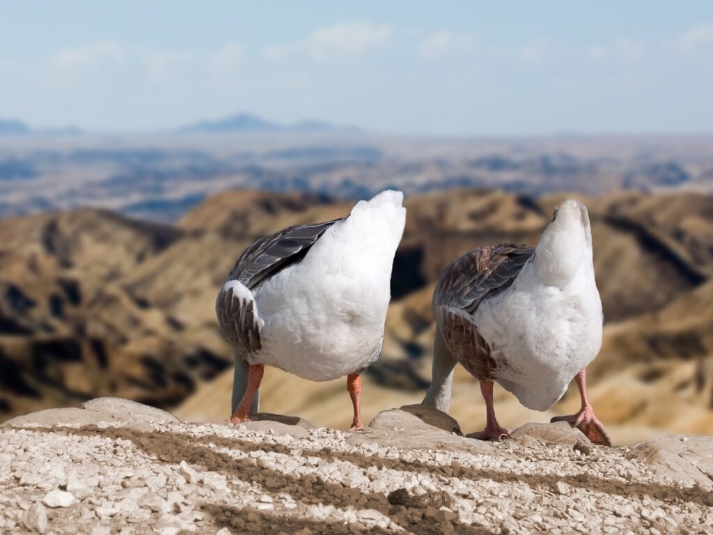 découvrez l'eco-humor, un mélange déconnant d'humour et de sensibilisation écologique. plongez dans un univers où rire rime avec conscience environnementale, et où chaque blague nous rappelle l'importance de protéger notre planète.