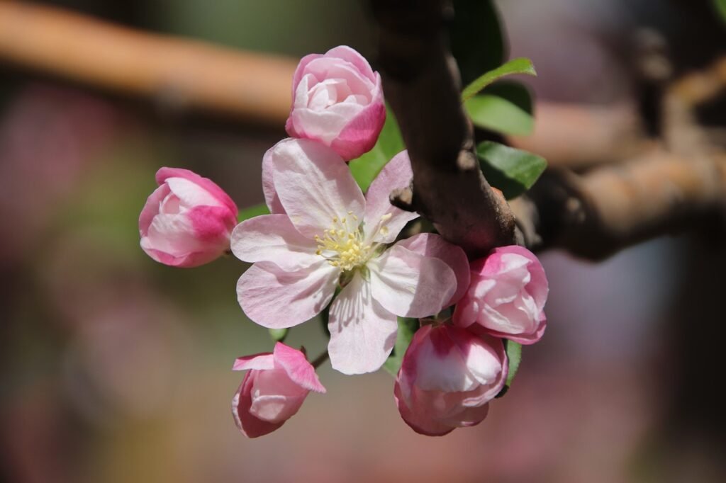 découvrez le malus écologique, un dispositif incitatif visant à réduire l'impact environnemental des activités polluantes. informez-vous sur son fonctionnement, ses avantages pour la planète et comment il encourage une consommation responsable.