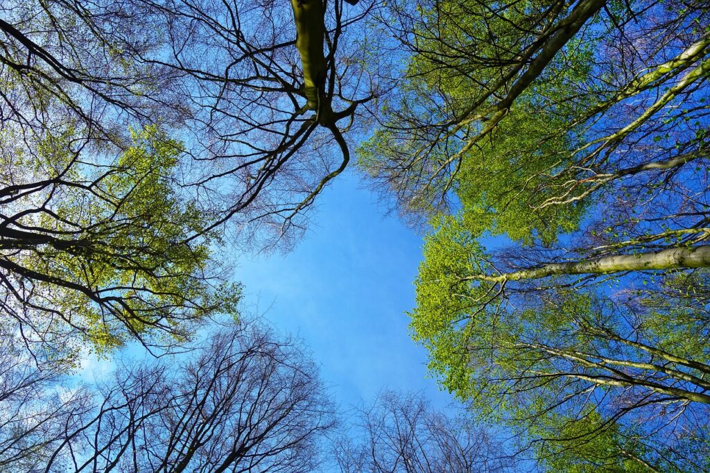 découvrez le charme et la vivacité du 'bright blue', une teinte éclatante qui apporte une touche de modernité et d'élégance à vos projets. plongez dans un univers de couleurs vibrantes et d'inspirations tendance pour sublimer votre intérieur ou vos créations artistiques.