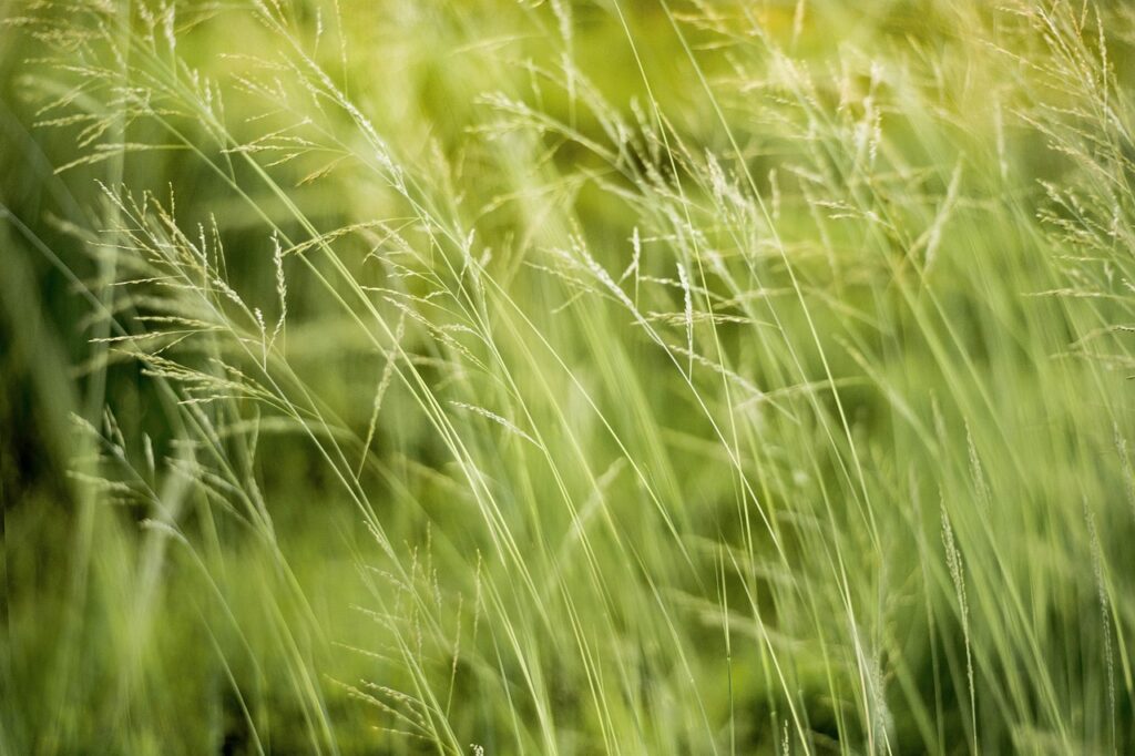 découvrez les coûts associés à la construction et à l'entretien d'une maison écologique. explorez les investissements initiaux, les économies d'énergie à long terme et les avantages environnementaux pour faire un choix éclairé.