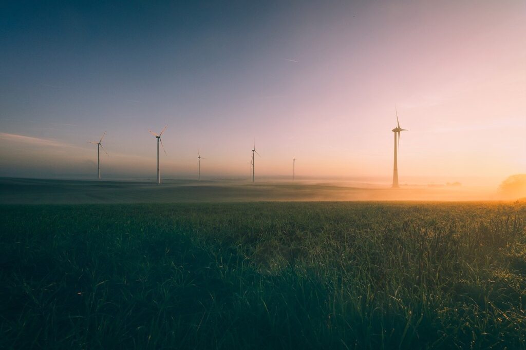 découvrez comment la transition agroécologique transforme l'agriculture en alliant pratiques durables et respect de l'environnement. explorez les enjeux, les avantages, et les solutions innovantes pour une production alimentaire responsable et durable.