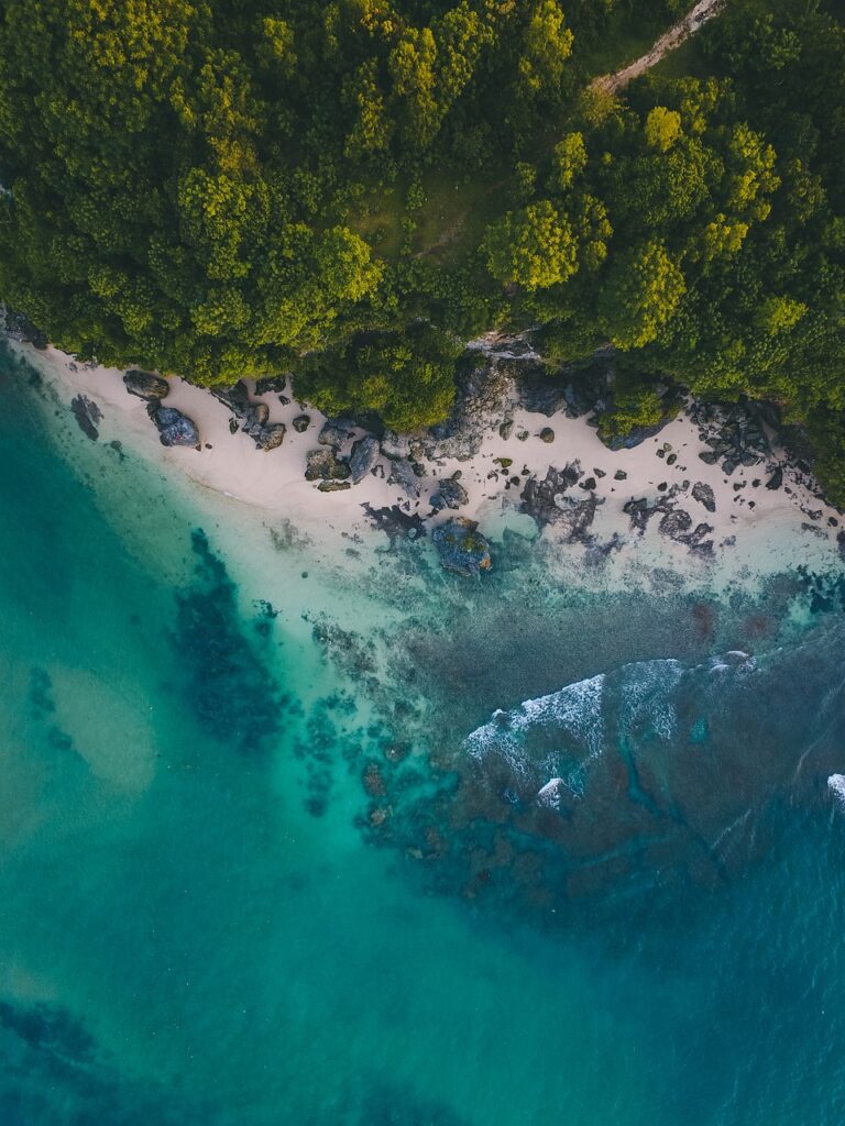 découvrez les merveilles des îles, où la nature sauvage rencontre des plages paradisiaques. explorez des paysages uniques, une culture riche et des activités de détente ou d'aventure. préparez votre prochaine escapade sur une île inoubliable!