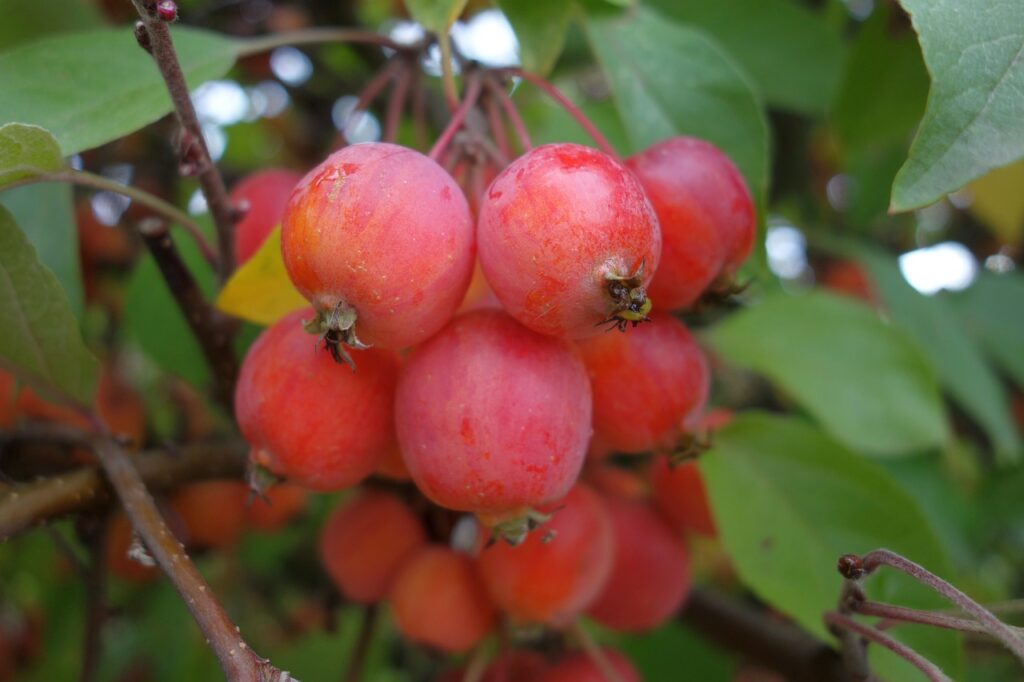 découvrez le concept de malus écologique, une approche innovante visant à encourager les comportements durables et à réduire l'impact environnemental. explorez comment ce système incitatif transforme notre rapport à la nature et promeut un avenir plus responsable.